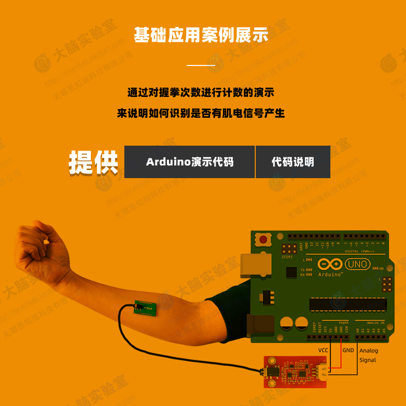 EMG 単一伝導筋電および表面電気筋検査センサー - Muscle Sensor Emg のレビューと価格